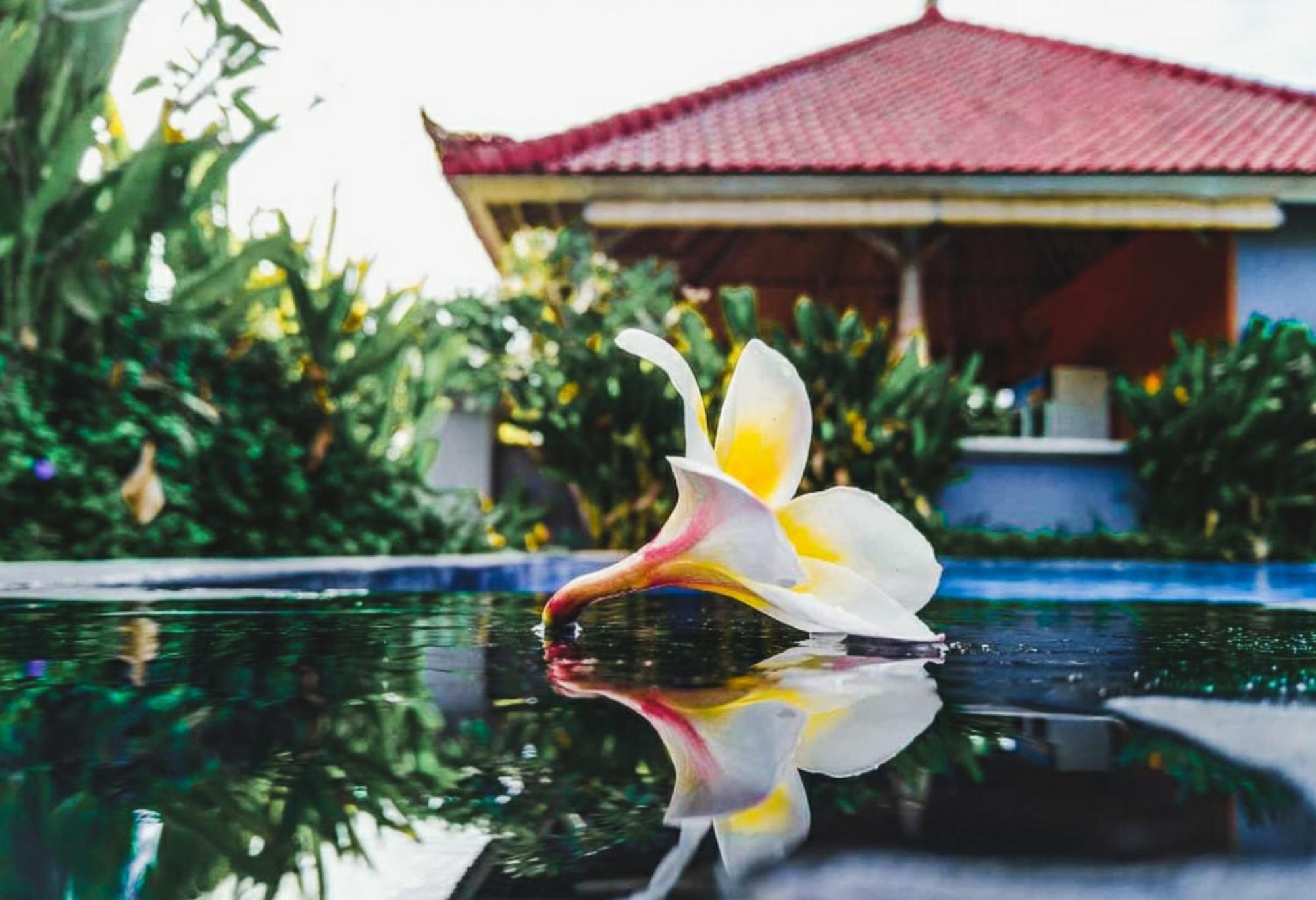 Hokita Home Stay Nusa Lembongan Kültér fotó